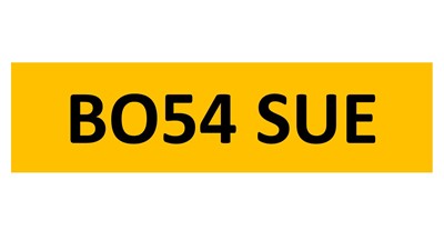 Lot 48-4 - REGISTRATION ON RETENTION - BO54 SUE