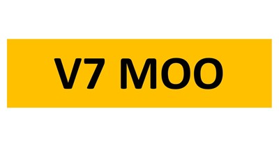 Lot 90-4 - REGISTRATION ON RETENTION - V7 MOO