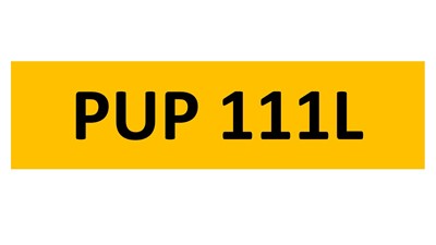 Lot 31-5 - REGISTRATION ON RETENTION - PUP 111L