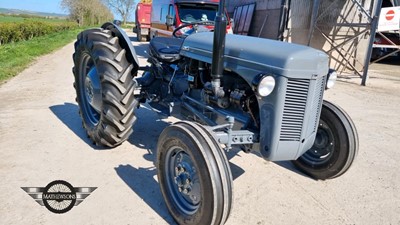 Lot 48 - 1953 FERGUSON TEF 20