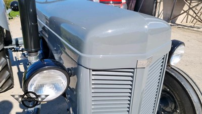 Lot 48 - 1953 FERGUSON TEF 20