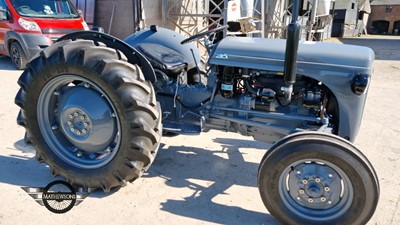 Lot 48 - 1953 FERGUSON TEF 20