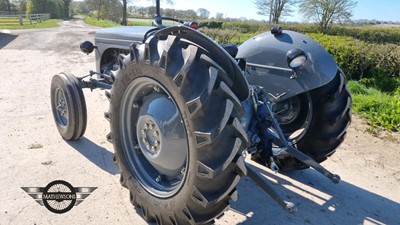 Lot 48 - 1953 FERGUSON TEF 20
