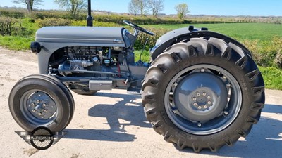 Lot 48 - 1953 FERGUSON TEF 20