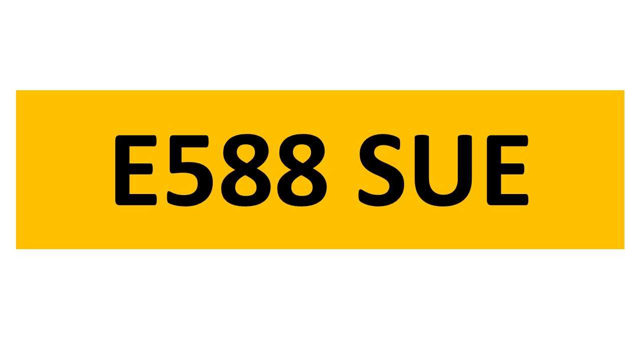 Lot 8 - REGISTRATION ON RETENTION - E588 SUE