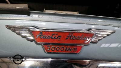 Lot 71 - 1964 AUSTIN HEALEY
