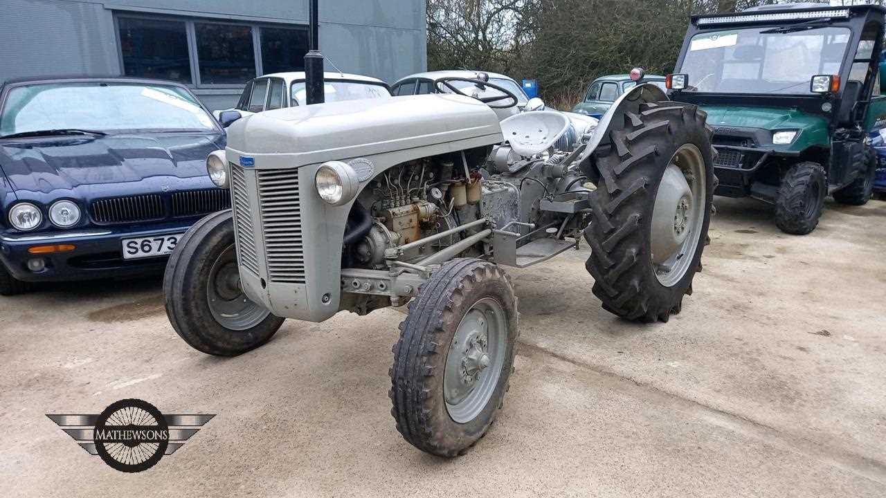 Lot 21 - 1956 MASSEY FERGUSON TE-F20