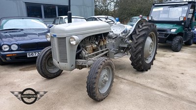 Lot 21 - 1956 MASSEY FERGUSON TE-F20