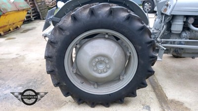 Lot 21 - 1956 MASSEY FERGUSON TE-F20