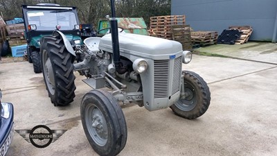 Lot 21 - 1956 MASSEY FERGUSON TE-F20