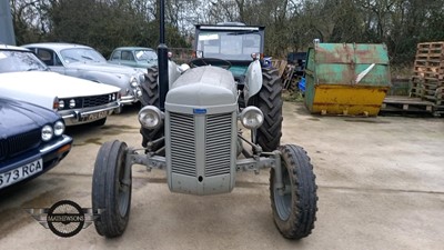 Lot 21 - 1956 MASSEY FERGUSON TE-F20