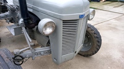 Lot 21 - 1956 MASSEY FERGUSON TE-F20
