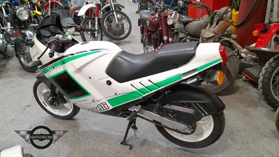 Lot 260 - 1988 BENELLI JARNO