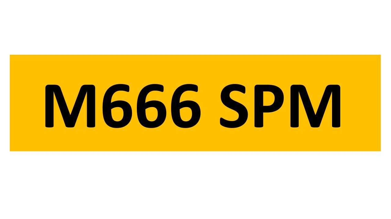 Lot 20 - REGISTRATION ON RETENTION - M666 SPM