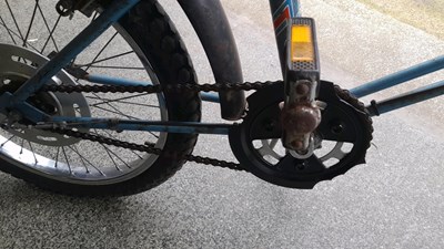 Lot 70 - RALEIGH GRIFTER MK1