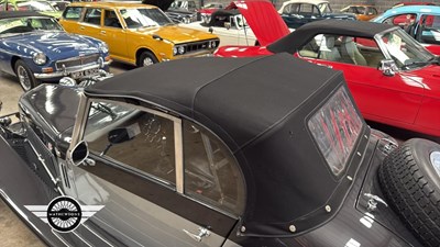 Lot 116 - 1987 MARLIN BERLINETTA