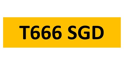 Lot 47 - REGISTRATION ON RETENTION - T666 SGD