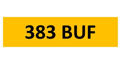 Lot 49-3 - REGISTRATION ON RETENTION - 383 BUF