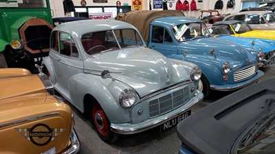 Lot 462 - 1953 MORRIS MINOR