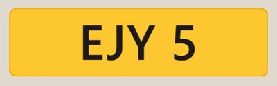 Lot 442 - RETENTION EJY 5