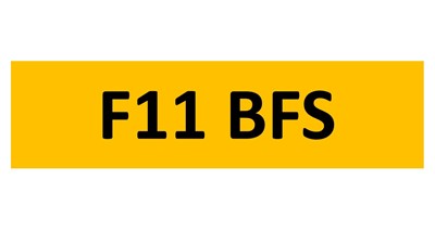 Lot 229-3 - REGISTRATION ON RETENTION - F11 BFS