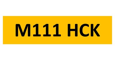 Lot 237-3 - REGISTRATION ON RETENTION - M111 HCK