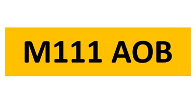 Lot 252-3 - REGISTRATION ON RETENTION - M111 AOB