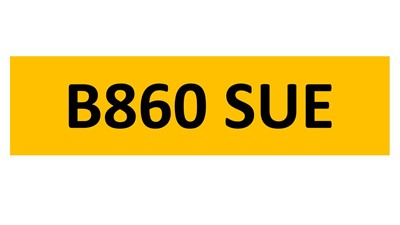 Lot 1-4 - REGISTRATION ON RETENTION - B860 SUE